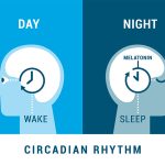 التلازم التكاملي بين الليل والنهار: مقاربة قرآنية في ضوء العلوم الطبية الحديثة