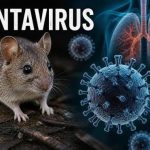 عدوى فيروس هانتا (Hantavirus Infection)